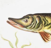 6 személyes halas készlet, jelzett: Bavaria, hibátlan