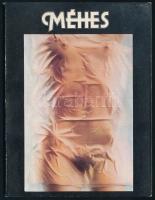 Vegyes művészeti kiállítási katalógus tétel, 3 db: Méhes, Scholz Erik, Gudiasvili-