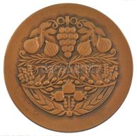 Izrael DN " Ezért a fiúért könyörögtem, és az Úr megadta kérésemet... - Sámuel 1, 27" kéto...