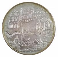 1990. 500Ft Ag "Mátyás király - Buda" sérült dísztokban T:BU patina
Adamo EM114