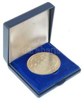 1990. 500Ft Ag "Mátyás király - Buda" sérült dísztokban T:BU patina
Adamo EM114