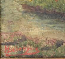 Hieborg jelzéssel: Erdő. Olaj, vászon, keretben, 40x20 cm