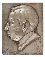 1922. Férfi portré bal profilból egyoldalas fém plakett. Szign.:Sugár (134x106mm) T:2 patina, hátoldalán ü.
