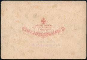 cca 1910 Pola, Kriegshafen / hadikikötő, szárazdokk, keményhátú fotó Alois Beer műterméből, 11×16,5 ...