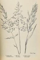 Gróf Teleki Árvéd: Növényeink hasznáról. Cluj-Kolozsvár, 1926, Lapkiadó és Nyomdai Műintézet Rt., 19...