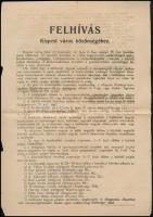 1923 Meghívó Kispest R. T. város közönsége által Kispest megalakulásának 50 éves évfordulójára rende...