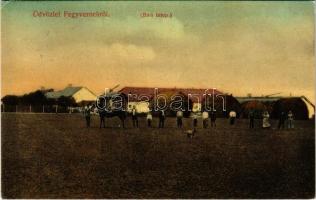 1909 Fegyvernek, Bíró telep. Szigeti Henrik udv. fényképész (EK)
