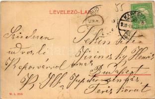 1908 Kaposvár, Magyar államvasutak nevelő- és tápintézete. W.L. 2549. (EK)