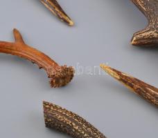 8 db különféle méretű szarvasagancs, faragáshoz is felhasználható, h: 9 - 36,5 cm