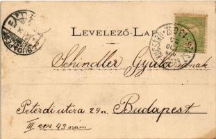 1904 Marosvásárhely, Targu Mures; látkép, Fő tér, üzletek, zsinagóga, Bodor-kút / general view, main...