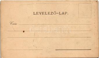 1899 (Vorläufer) Déva, Deva; Vármegyeház, Piactér, Fő utca, Vajdahunyad vára, Déva vára, Holtzer Kár...