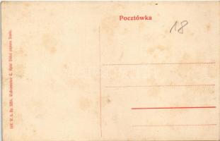 Jaslo, Gorajovice Palac / palace. W.L. Bp. 3251. 147. G. Apfel (EK)