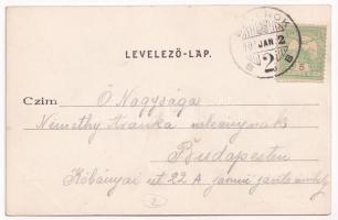 1905 Szolnok, M. kir. állami gimnázium. Divald Károly 689