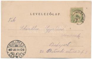 1902 Budapest XVIII. Pestszentlőrinc, Pusztaszentlőrinc, Szentlőrinc; Kossuth Lajos utca. Podoletz é...