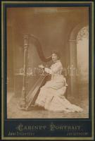 cca 1890 Fiatal hölgy hárfával, keményhátú vintage fotó Anna Sternitzky jaegerndorfi (Krnov, Szilézia) műterméből, , 16x11 cm