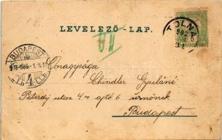 1902 Tolna, Báró Drasche kastély, M. kir. selyemfonoda, Szent István tér, Deák Ferenc út. Weltmann I...