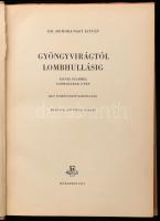 Homoki-Nagy István: Gyöngyvirágtól lombhullásig. Színes filmmel vadmadarak után. Bp., 1957, Biblioth...