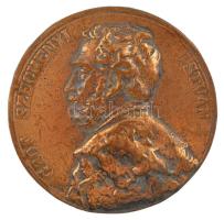 DN Gróf Széchenyi István egyoldalas aranyozott bronz öntvény (72mm) T:2,2- kopott aranyozás, hátoldalán karcos