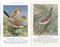 A m. kir. Madártani Intézet kliséi. Hazai Madaraink képsorozat - 2 db régi használatlan képeslap / Hungarian birds - 2 pre-1945 unused postcards