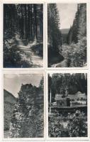 Borszék, Borsec; - 4 db régi képeslap (Park, Nádas, Árnyas sétány, Bagolyvár) / 4 pre-1945 postcards