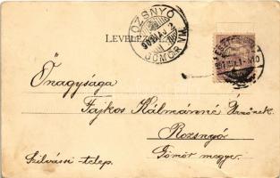 1901 Esztergom, Honvéd temető Szentgyörgymezőn télen. Stromf Ignác kiadása (fa)