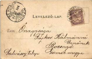 1901 Esztergom, Ferenc József út, Fürdőszálloda. "Esztergomi lapok" nyomdája "Hunnia&...