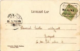 1905 Diósd, Gróf Wimpfen-féle állatkert, Erdészeti ház (Kutya vár). Schneider Nándor kiadása (EB)