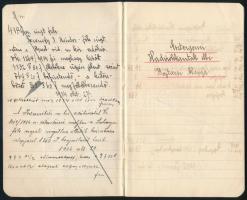 1934-1935 Esztergomi Hadirokkantak Bajtársi Alapja bevétel-kiadási füzet, vitéz Zsámbéky Pál, a Tűzh...