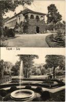 1908 Tápiósáp (Sülysáp), Sőtér kastély, park. Erdélyi cs. és kir. udvari fényképész műterméből (EK)