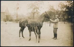 cca 1915 Magyar katona lovával és annak csikójával, fotó, 9×14 cm