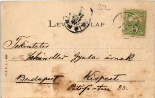 1907 Balaton, Napnyugta a Balatonon. D.K.F.E. 936. (fl)