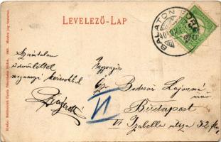 1905 Balatonfüred, Villasor. Balázsovich Gyula fényképész kiadása (EK)
