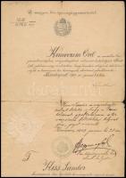 1907 Günther Antal igazságügy-miniszter autográf aláírása végrehajtói kinevezésen