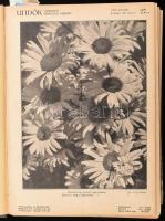 1943 Uj Idők XLIX. évf., II. félév, 27-53. sz. 1943. júl. 3 - dec. 31. Szerk.: Herczeg Ferenc. Számo...