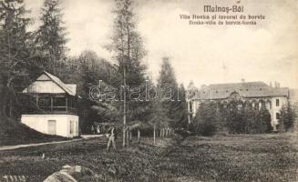Málnásfürdő Villa Ilonka and "wine-water" spring