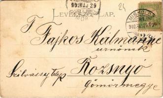 1902 Dályok, Dubosevica (Darázs, Draz); Dályoki sokác leány / Sokci / Croatian folklore, traditional...