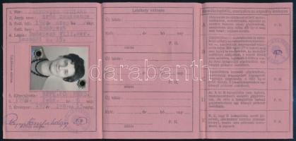 1969 Magyar Népköztársaság vezetői engedély + 6 db betétlap