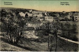 Savanyúkút, Bad Sauerbrunn bei Wiener Neustadt; látkép. Hönigsberg Frigyes kiadása / general view