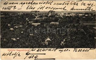 1914 Nagyszőlős, Nagyszőllős, Vynohradiv (Vinohragyiv), Sevljus, Sevlus; látkép. W.L. Bp. 635. Victoria könyvnyomda kiadása (EM)