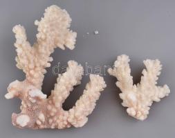 Fehér korall 16 cm