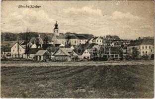 1913 Sinabelkirchen (Steiermark), general view with church (EK)