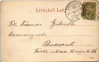 1904 Érsekújvár, Nové Zámky; Flenger intézet, zsinagóga. Conlegner J. és Fia kiadása / street view, ...