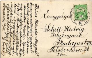 1913 Temesvár, Timisoara; osztrák-magyar magas rangú katonatisztek találkozója, kakastollas kalapban...