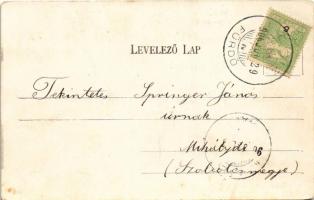 1906 Csíz, Csízfürdő, Kúpele Cíz; Hermin lak. Fogel Mór kiadása / villa (EK)