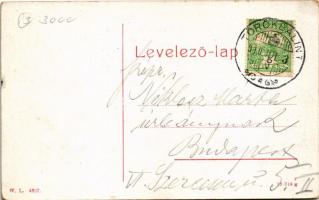 1910 Törökbálint, Iskola utca szobrokkal. W.L. 4307. (kis szakadás / small tear)