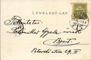 1904 Pozsony, Pressburg, Bratislava; Mária Terézia szobor / Maria Theresia-Denkmal / monument. Art N...