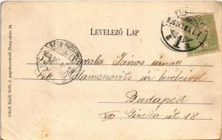 1906 Pozsony, Pressburg, Bratislava; Frigyes főherceg út, üzletek. Neffe J. kiadása / street view, s...