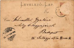 1900 Tátra, Magas-Tátra, Vysoké Tatry; Csorbai állomás, fogaskerekű vasút, vonat / cogwheel railway ...