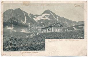Tátra, Magas-Tátra, Vysoké Tatry; A Fehértó-csúcs a Fehértóról. Feitzinger Ede 1902/12. 518Kr. / Die Weisse See-Spitze vom wiessen See aus / mountain (b)
