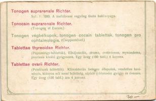 Tátra, Magas-Tátra, Vysoké Tatry; Csorba-tó, Bástya és Krivány csúcs. Hátoldalon Richter tabletta re...